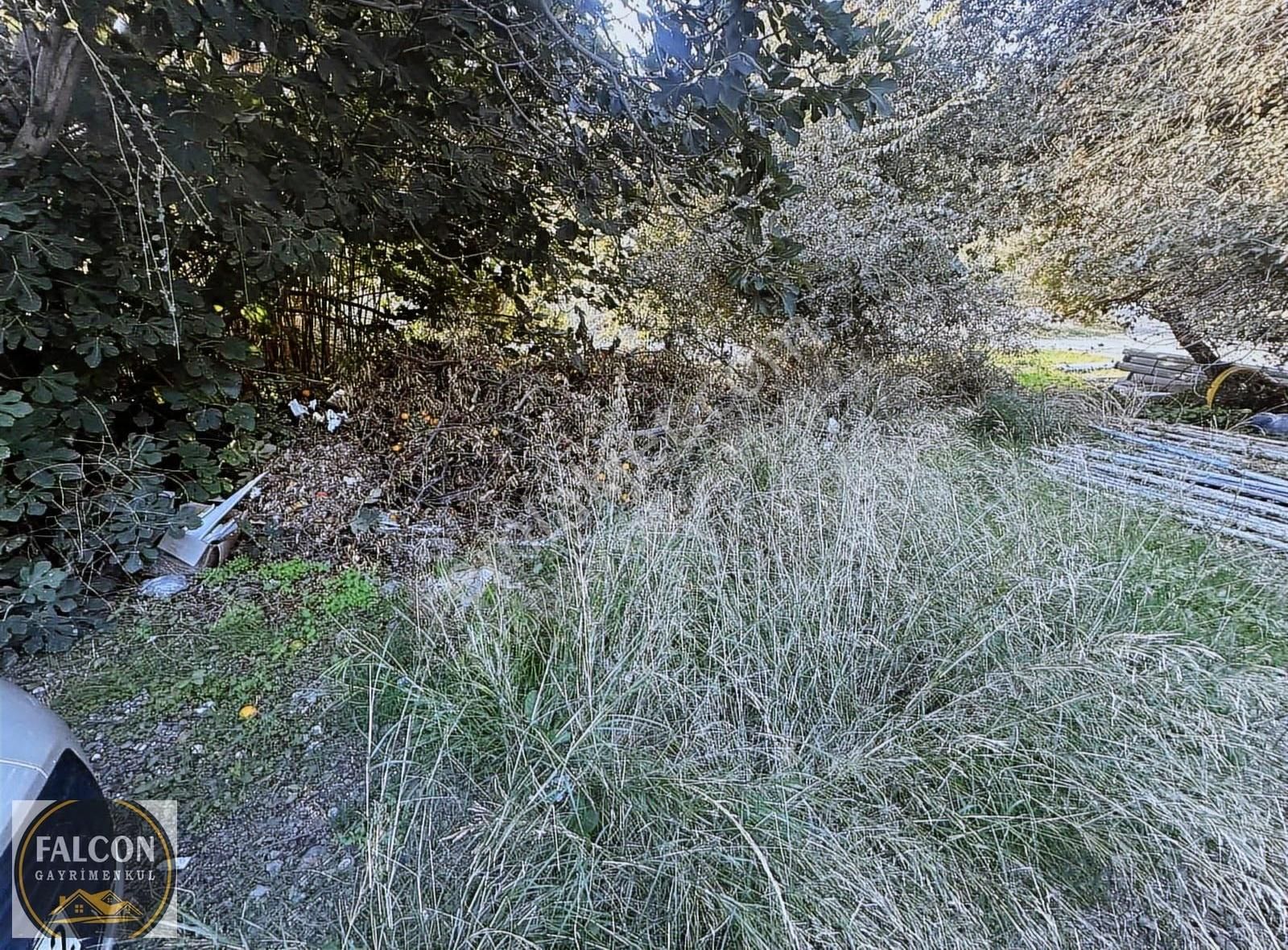 Falcondan Eldirekte Mah.köyiçi İmarlı 495 M2 Arsa Satılık - Görsel 15