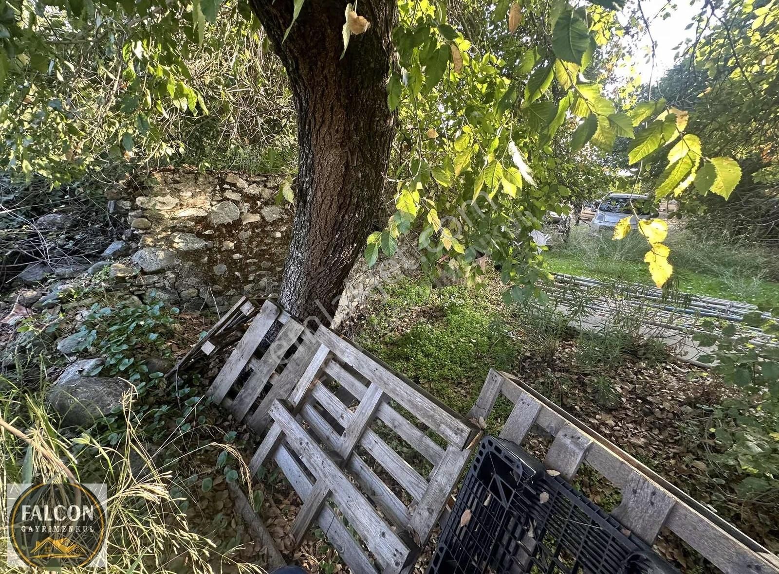 Falcondan Eldirekte Mah.köyiçi İmarlı 495 M2 Arsa Satılık - Görsel 14