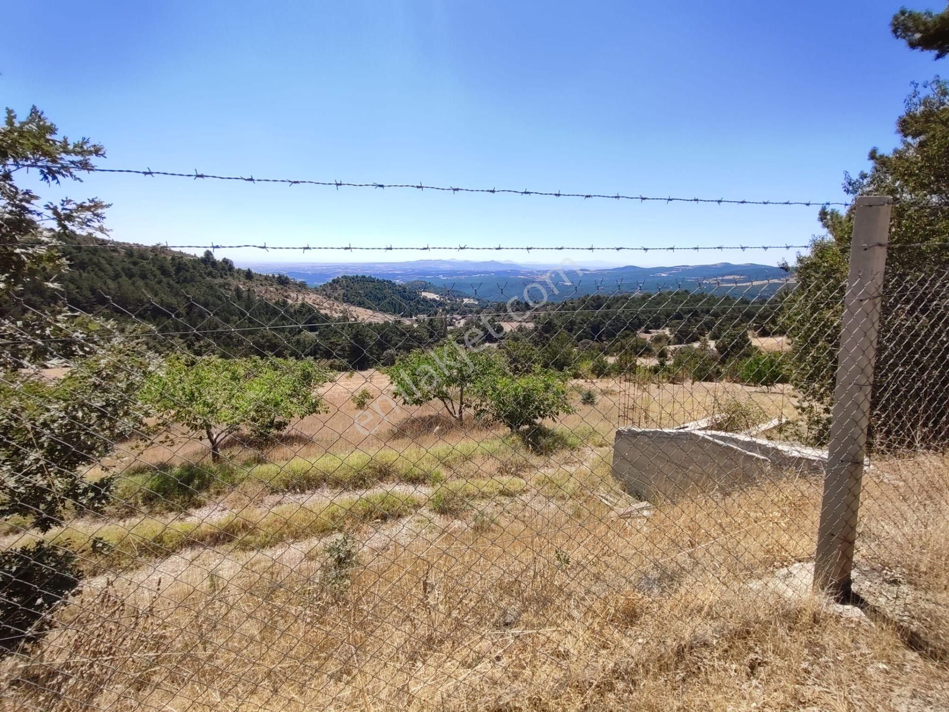 Uşak Merkeze 10 Km Uzaklıkta Dağdemirler Köyünde Satılık Tarla - Görsel 15