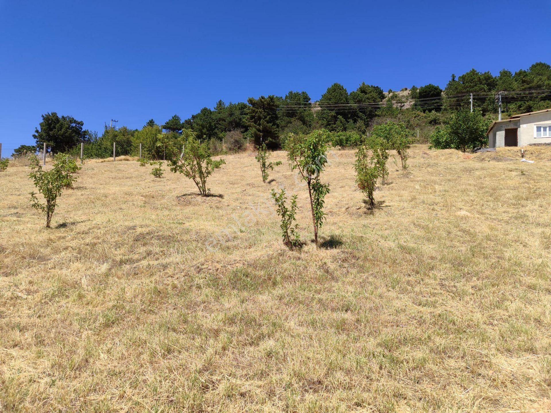 Uşak Merkeze 10 Km Uzaklıkta Dağdemirler Köyünde Satılık Tarla - Görsel 16