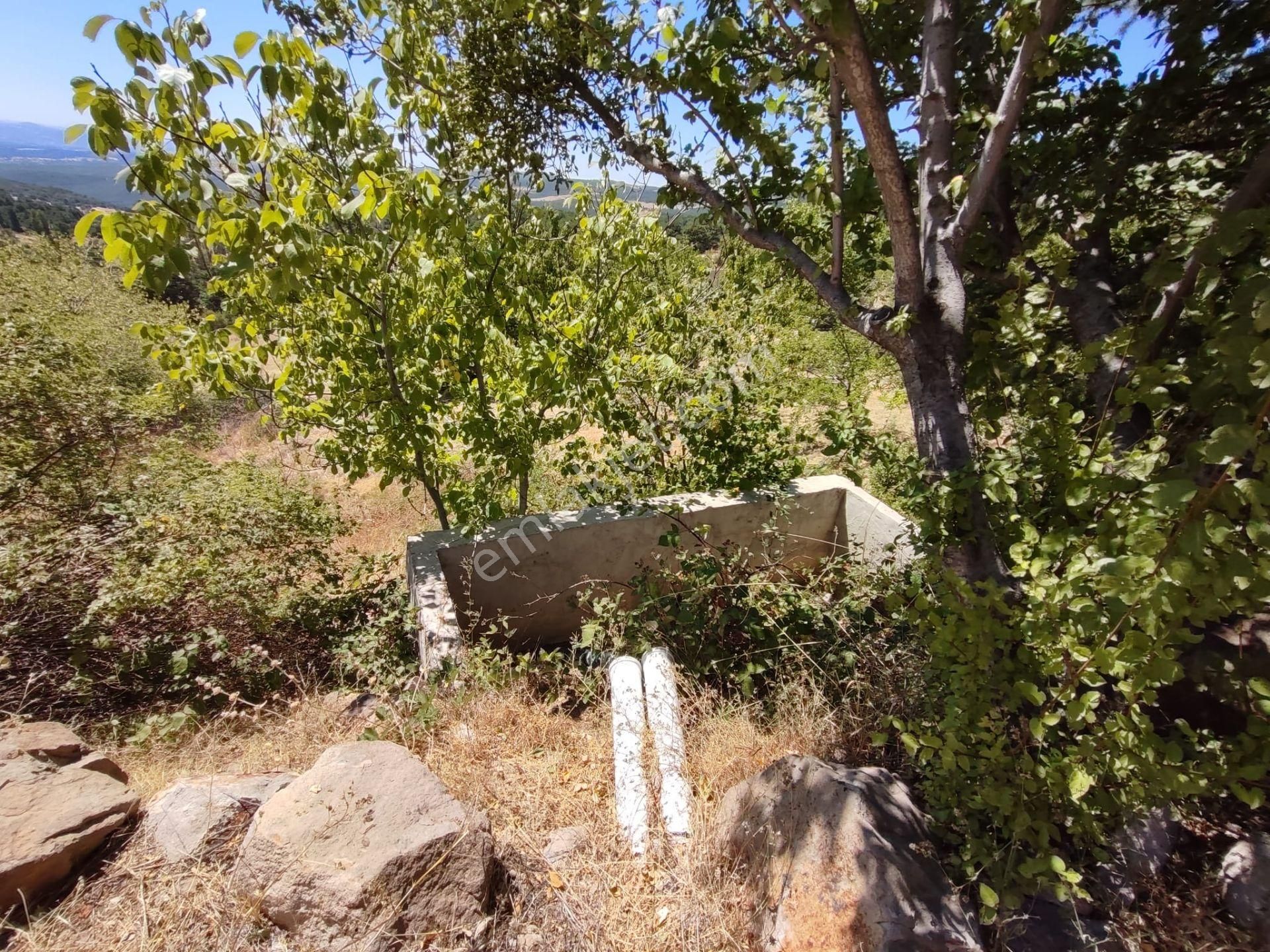 Uşak Merkeze 10 Km Uzaklıkta Dağdemirler Köyünde Satılık Tarla - Görsel 17