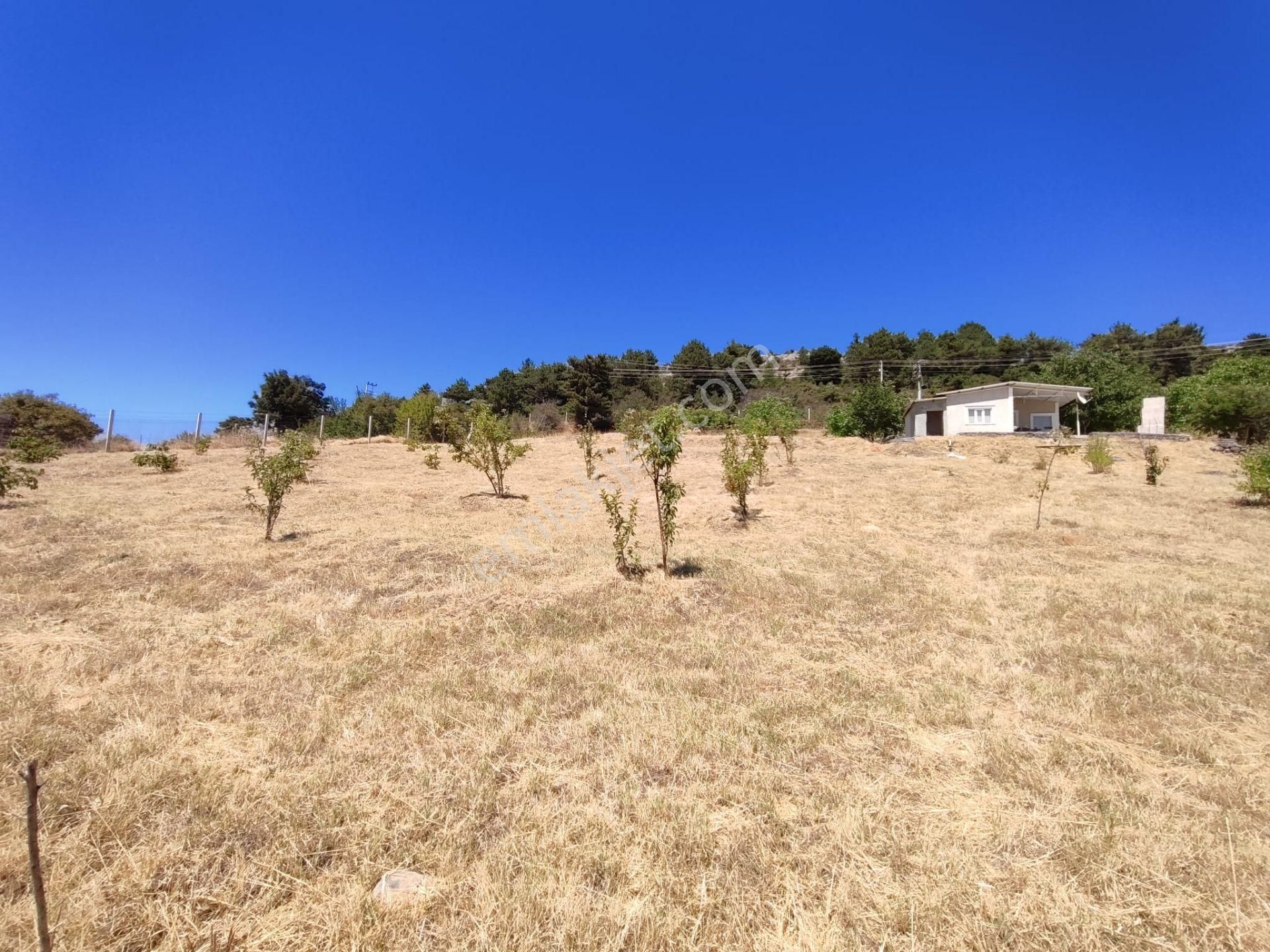 Uşak Merkeze 10 Km Uzaklıkta Dağdemirler Köyünde Satılık Tarla - Görsel 4