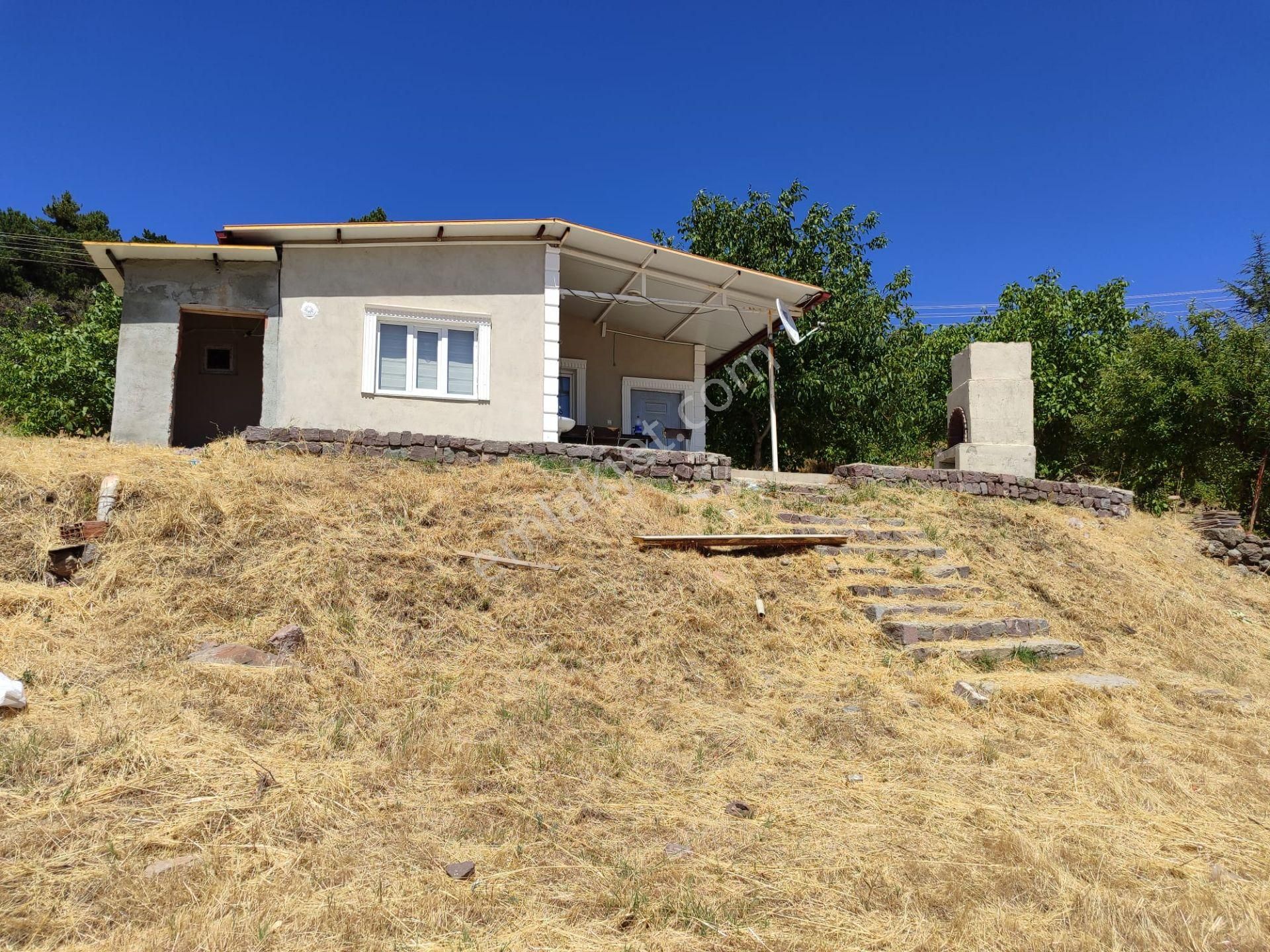 Uşak Merkeze 10 Km Uzaklıkta Dağdemirler Köyünde Satılık Tarla - Görsel 2