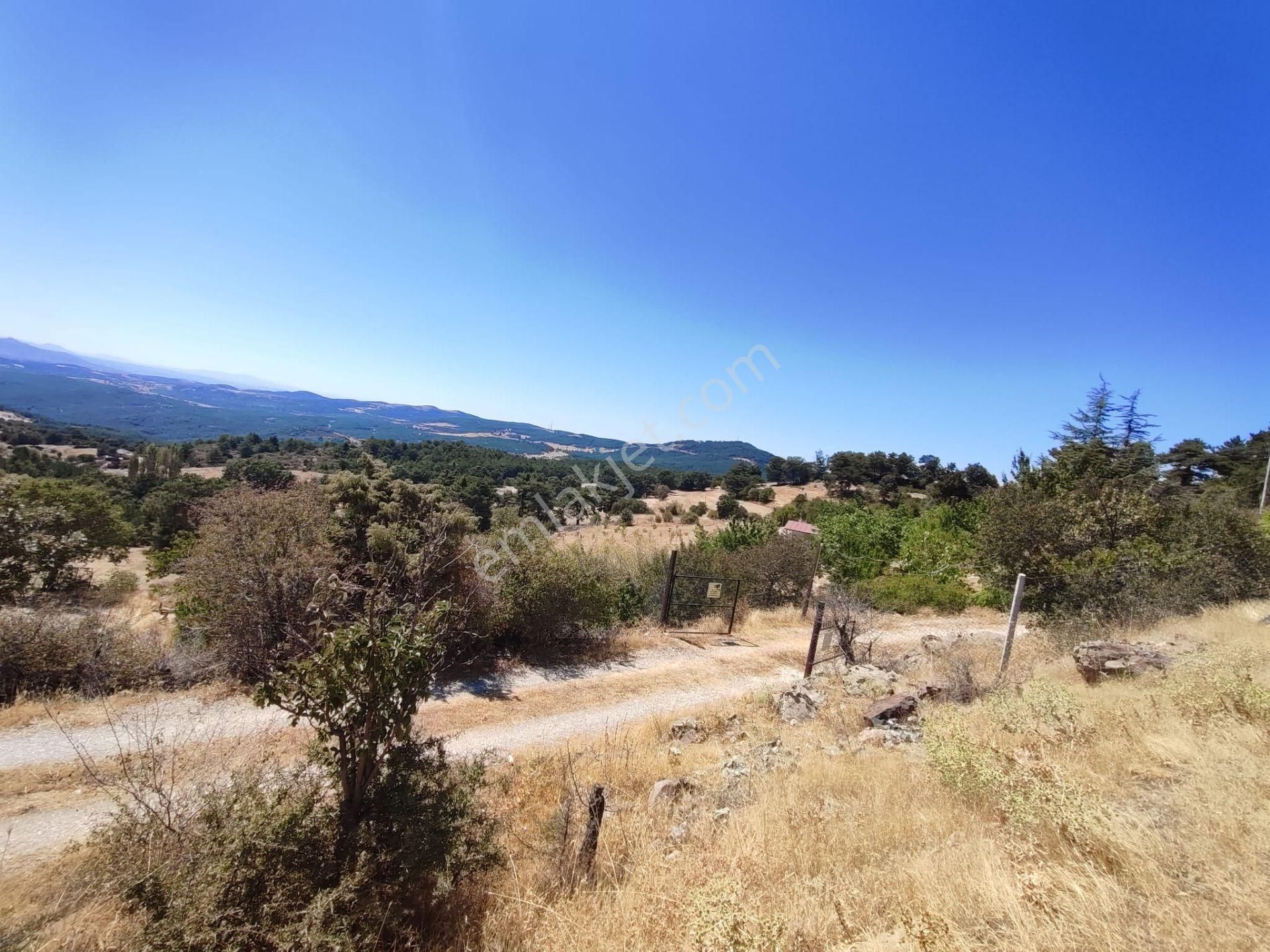 Uşak Merkeze 10 Km Uzaklıkta Dağdemirler Köyünde Satılık Tarla - Görsel 14