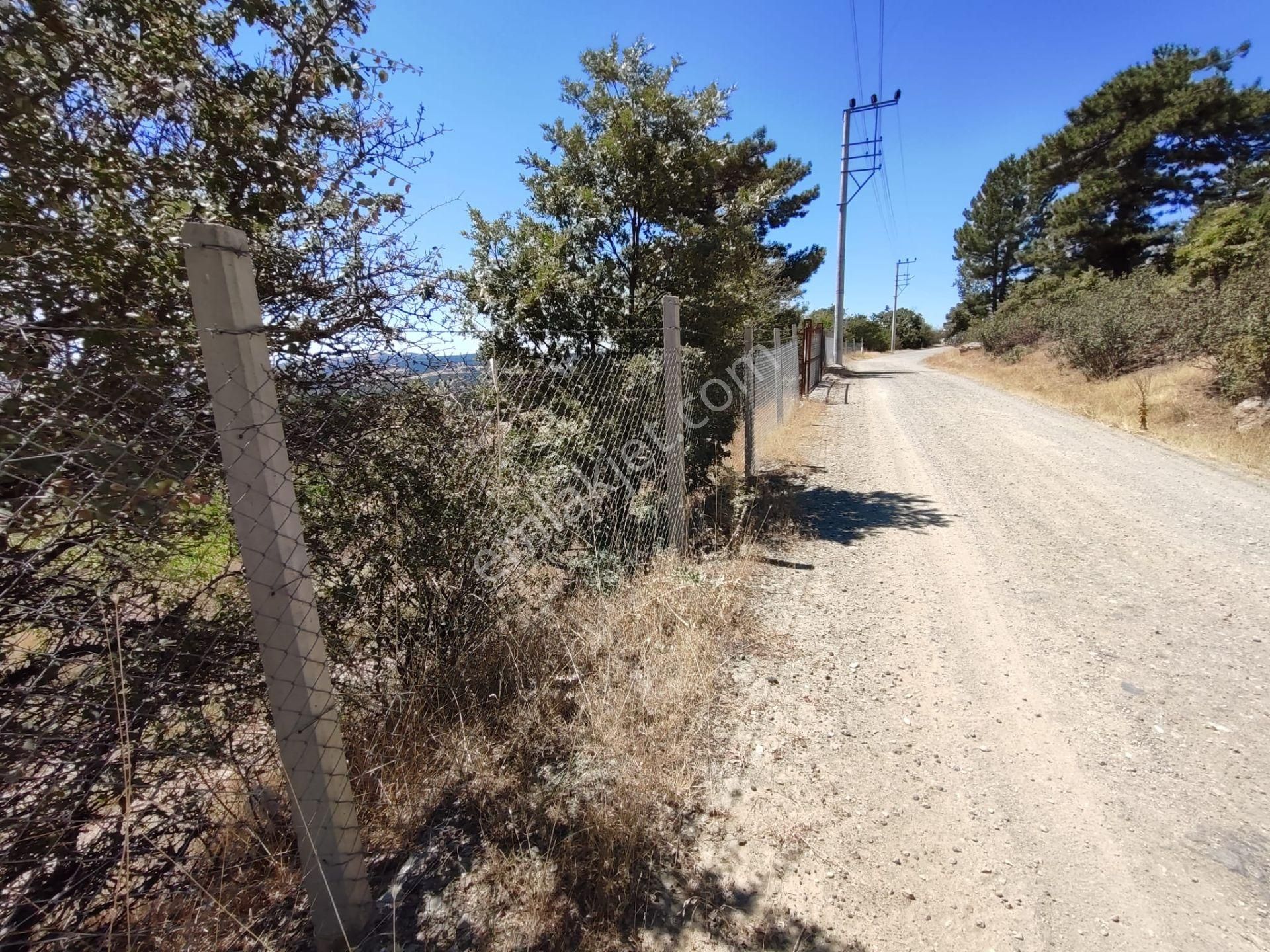 Uşak Merkeze 10 Km Uzaklıkta Dağdemirler Köyünde Satılık Tarla - Görsel 13