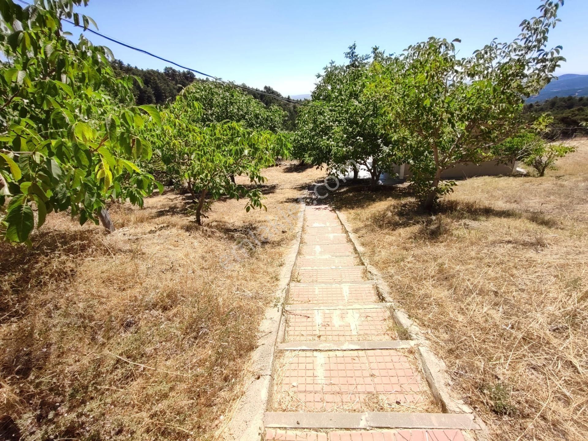 Uşak Merkeze 10 Km Uzaklıkta Dağdemirler Köyünde Satılık Tarla - Görsel 18