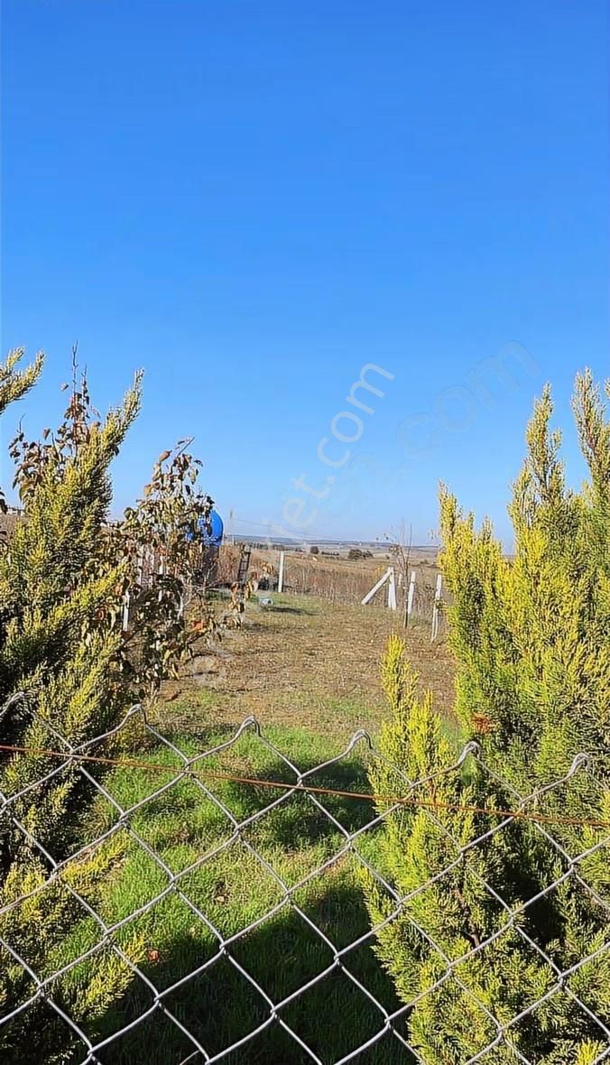 Diyar Gayrimenkul Den 500 Mt Vila İmarlı Arsa - Görsel 3