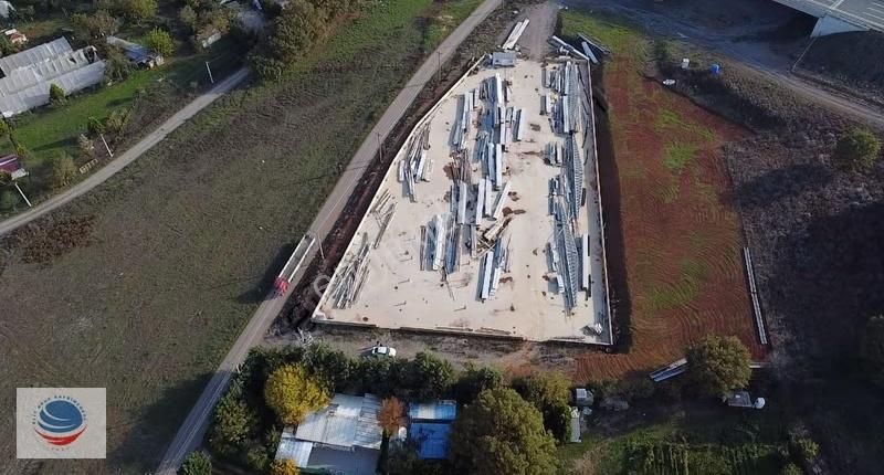 Cumaköy'de 7000 M² Beton Sahalı Asfalt Cephe Kiralık Arsa - Görsel 8