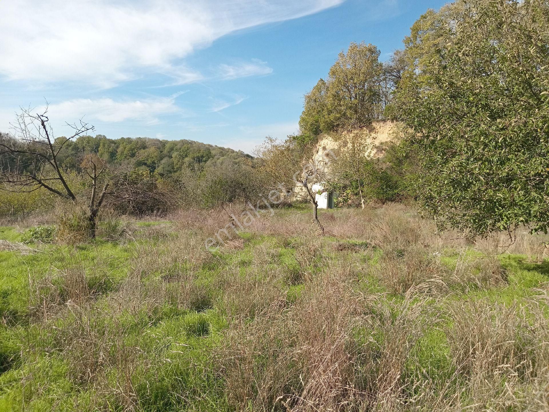 Beykozda Satilik İmarli Arsa - Görsel 5