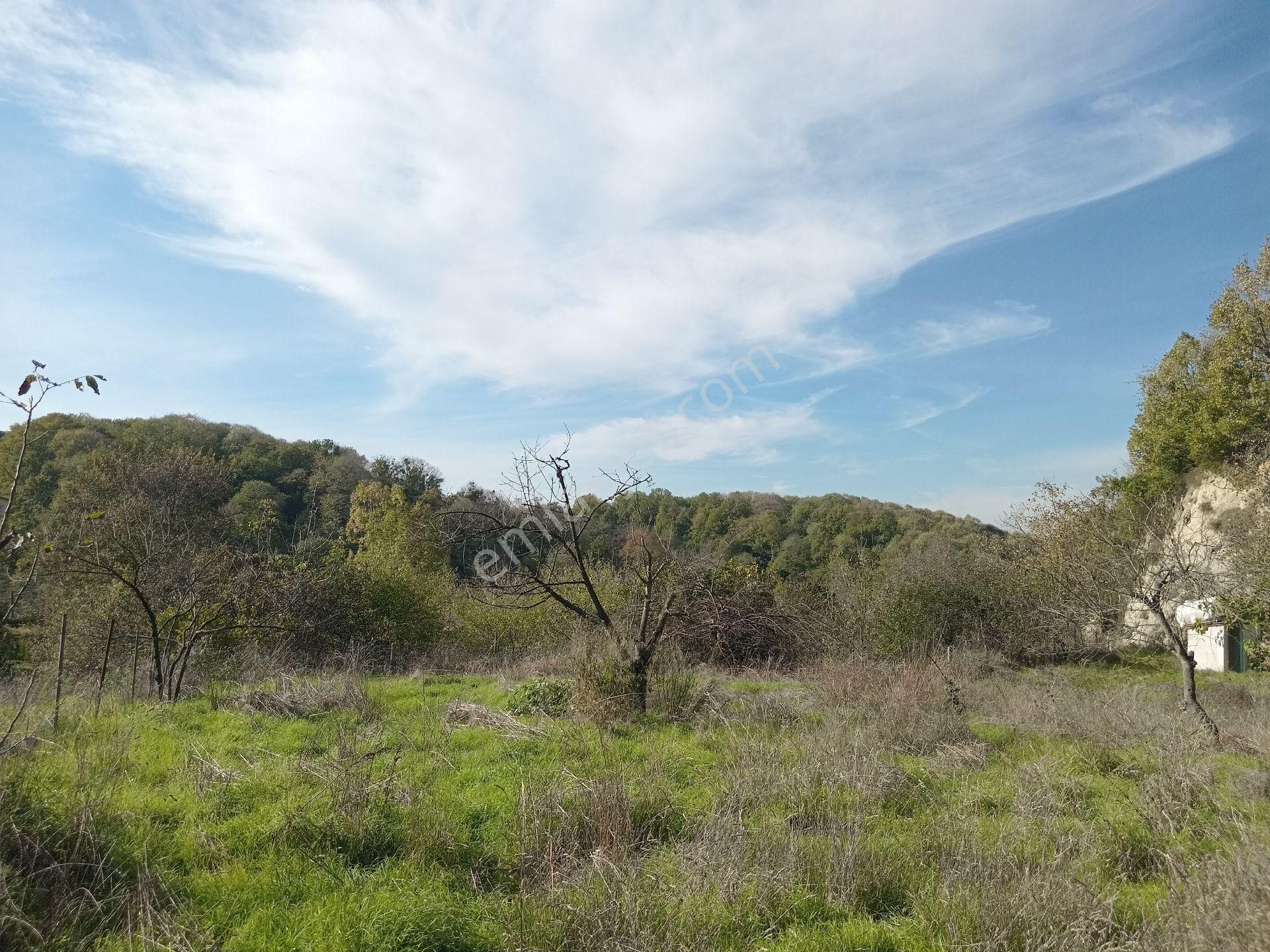 Beykozda Satilik İmarli Arsa - Görsel 6