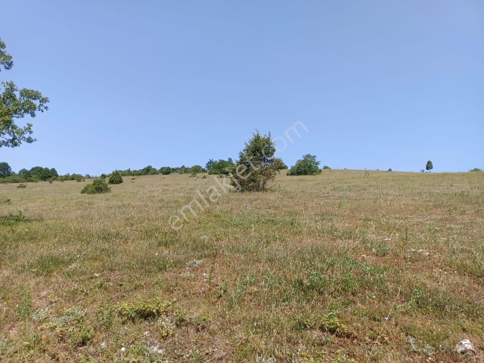 Kandıra Çakmaklar'da Yerleşime Yakın Konumda 5.064 M2 Tarla