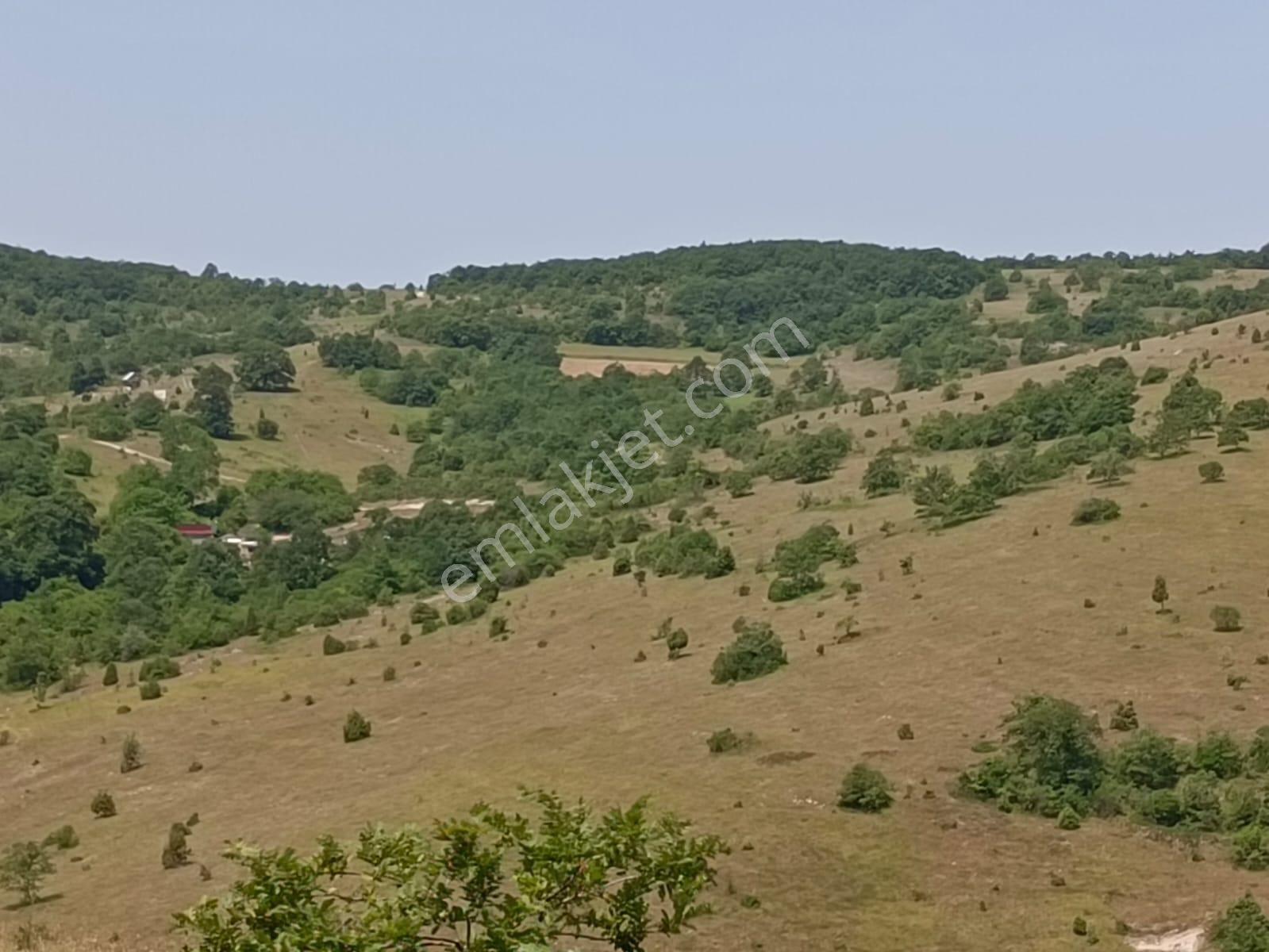 Kandıra Çakmaklar'da Yerleşime Yakın Konumda 5.064 M2 Tarla - Görsel 4