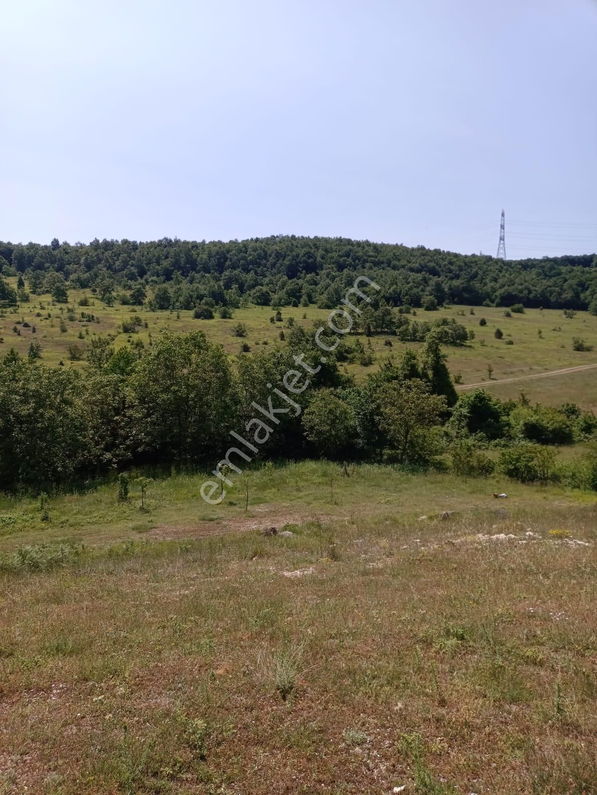 Kandıra Çakmaklar'da Yerleşime Yakın Konumda 5.064 M2 Tarla - Görsel 6