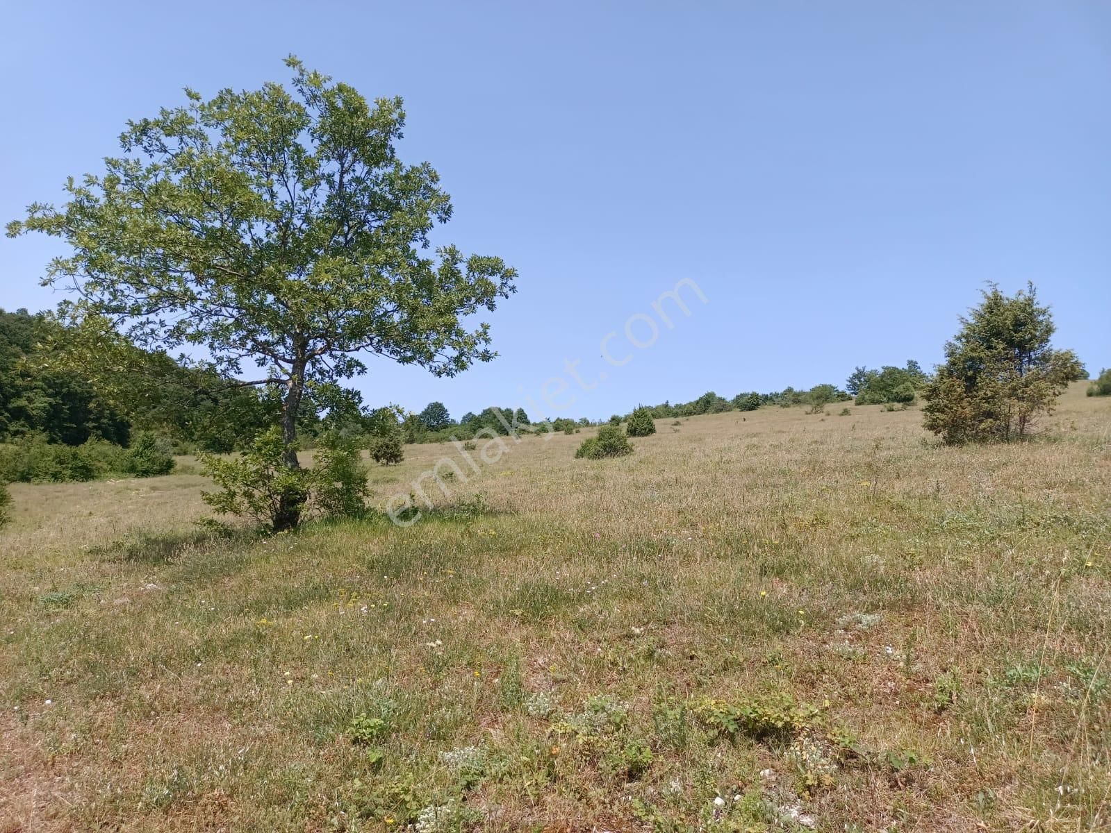 Kandıra Çakmaklar'da Yerleşime Yakın Konumda 5.064 M2 Tarla - Görsel 9