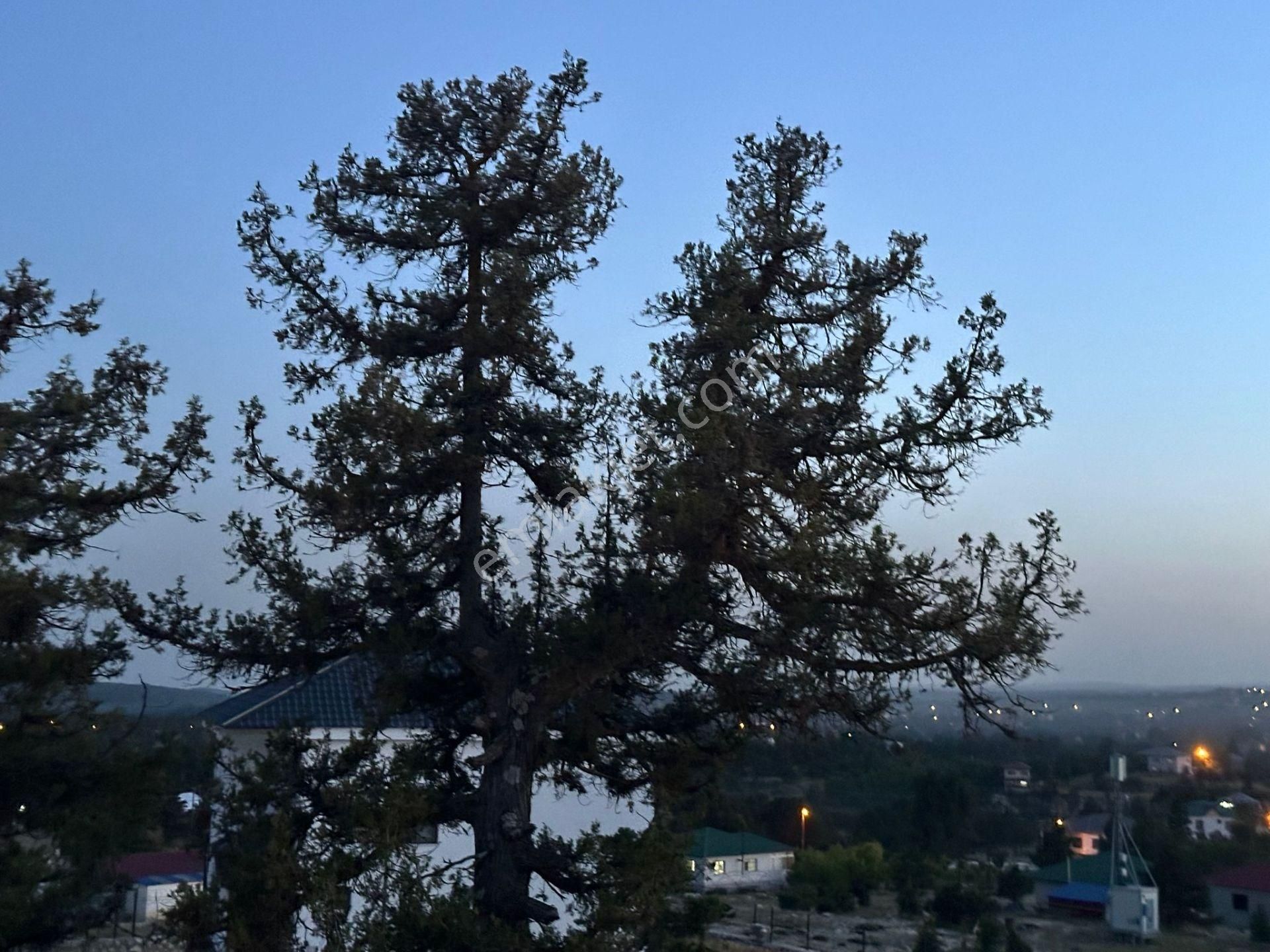 Erdemli Aydınlarda Villa Mersin (yaylada Villa) - Görsel 42