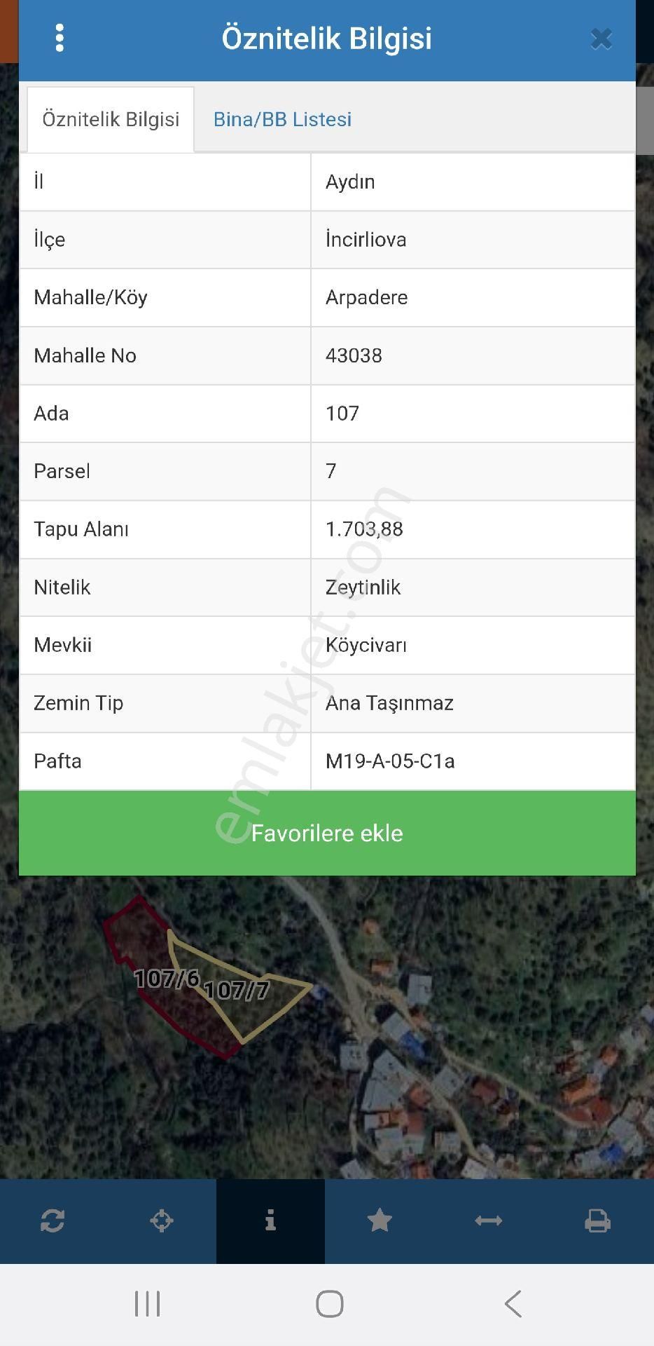 Aydın İncirliova Arpadere'de 4.024 M2 Köydibi Uygun Zeytinlik. Açıklamayı Okuyarak Arayınız. - Görsel 3