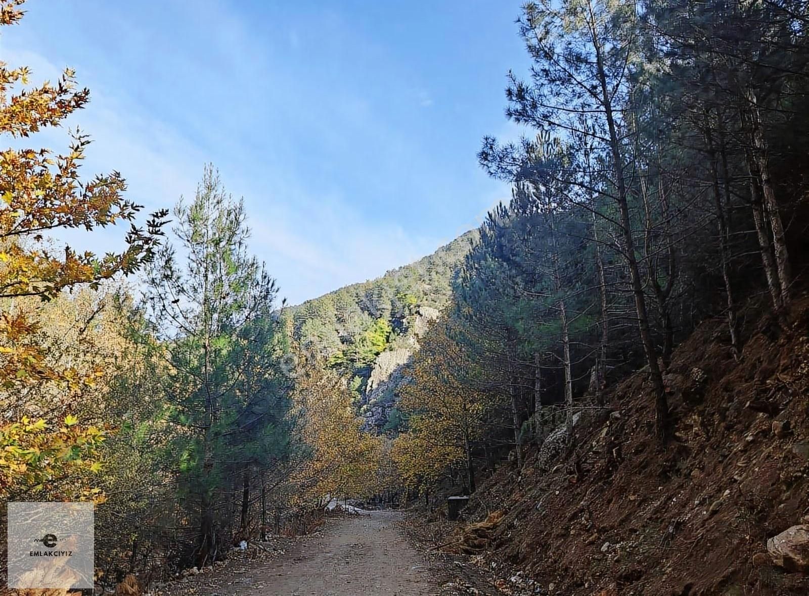 Babadağ Yolu Erbakır Personel Evleri Yanı Satılık 45 Dönüm Tarla