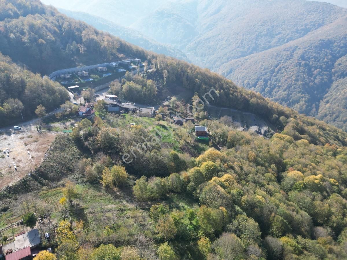 Sapanca Balkaya Mahallesi Göl Manzaralı Satılık Tarla - Görsel 8