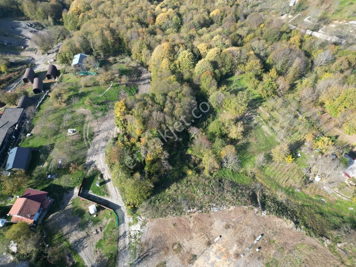 Sapanca Balkaya Mahallesi Göl Manzaralı Satılık Tarla - Görsel 7