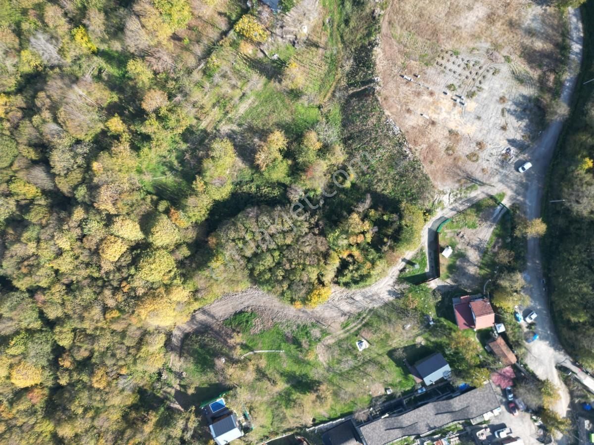 Sapanca Balkaya Mahallesi Göl Manzaralı Satılık Tarla - Görsel 3