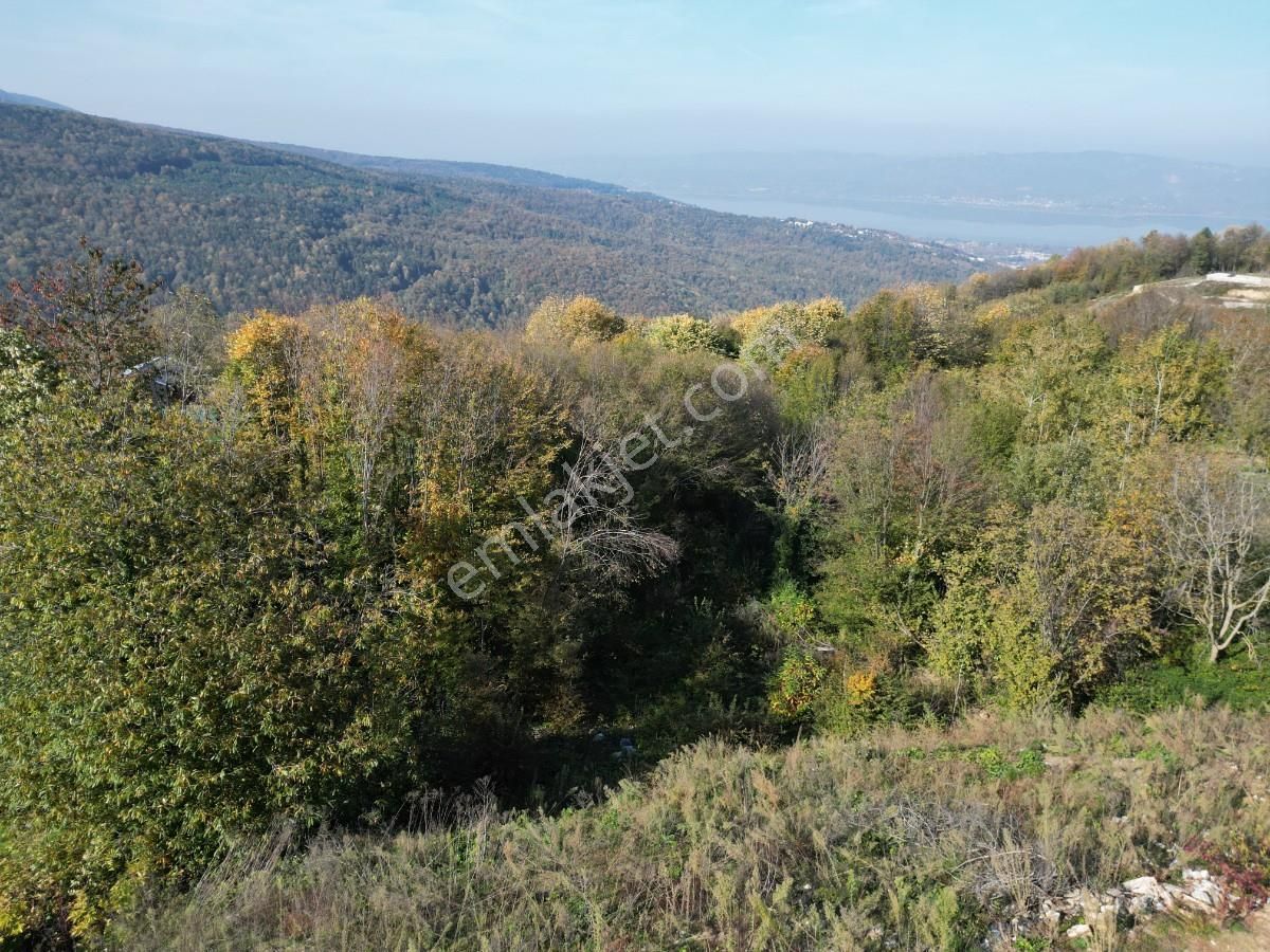 Sapanca Balkaya Mahallesi Göl Manzaralı Satılık Tarla - Görsel 2