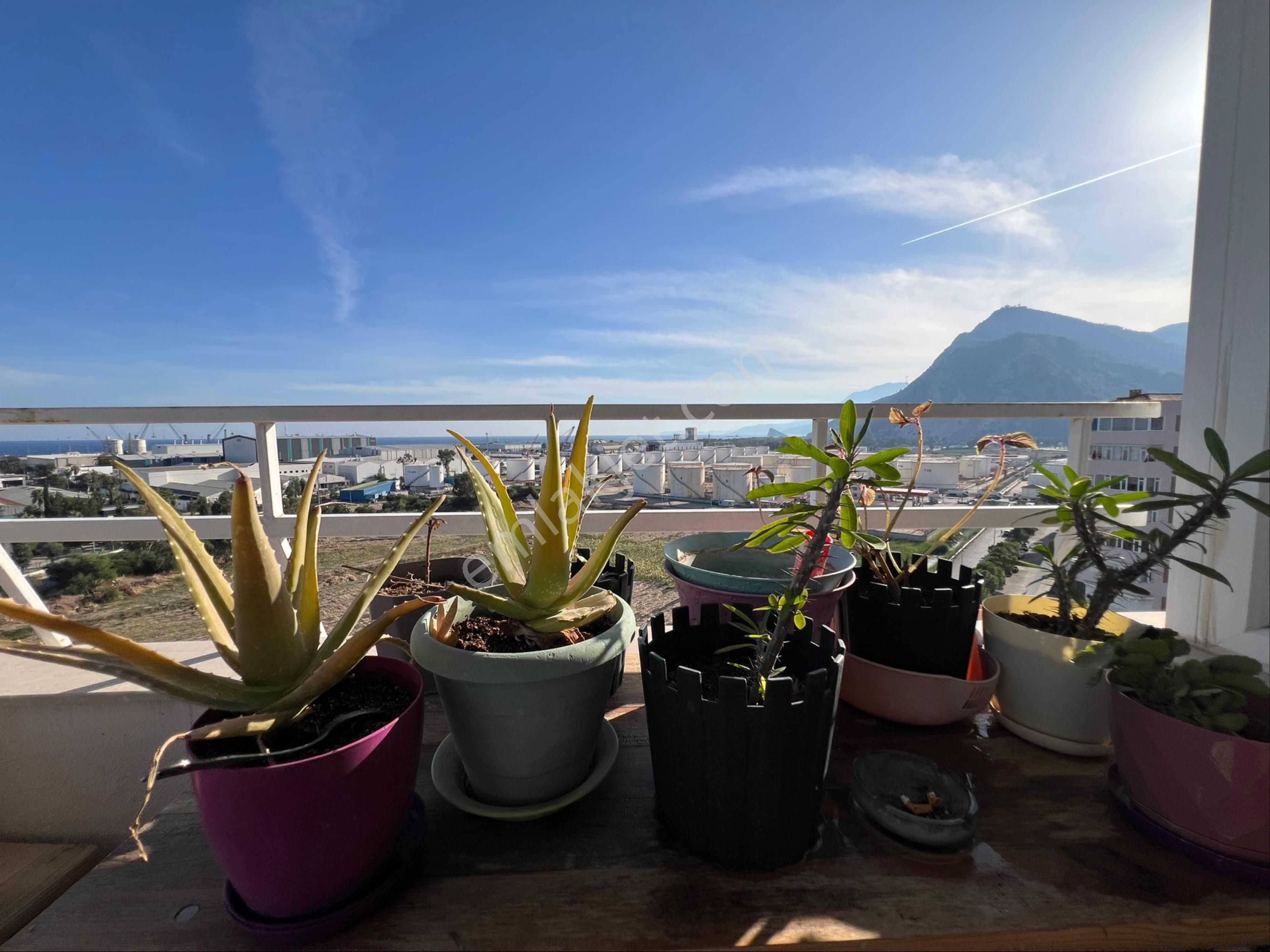 Liman Mahallesi Mimoza Sitesinde Satılık 3+1 Eşyalı Lüks Daire - Görsel 35