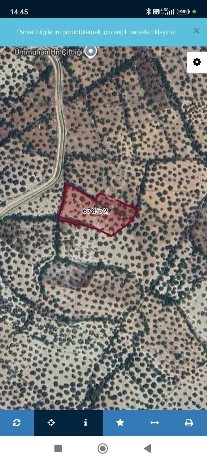 🌿 Ayvalık Gazikemalpaşa’da Yol Önü Zeytinlik – 7.023 M² - Görsel 17
