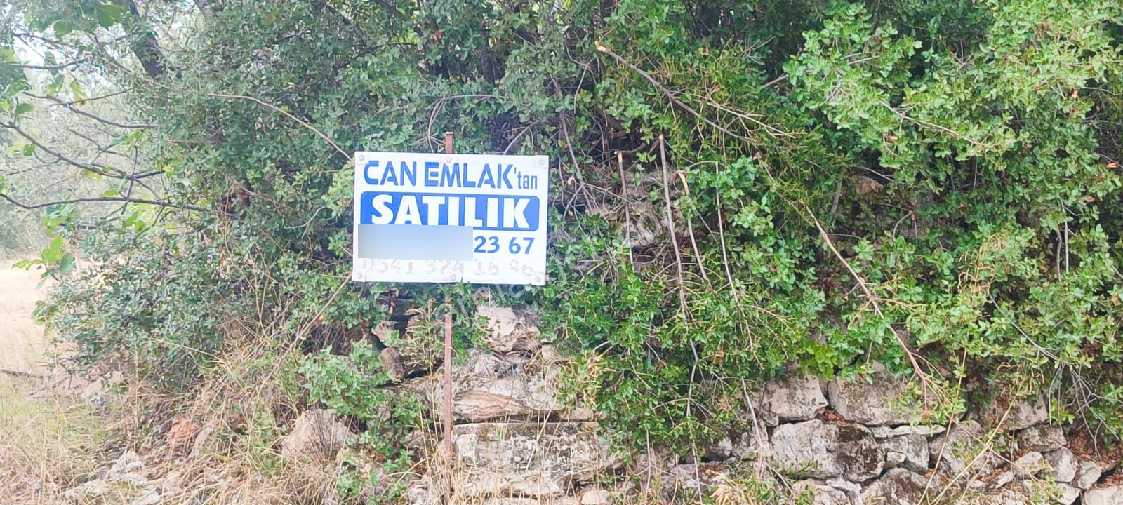 🌿 Ayvalık Gazikemalpaşa’da Yol Önü Zeytinlik – 7.023 M² - Görsel 6