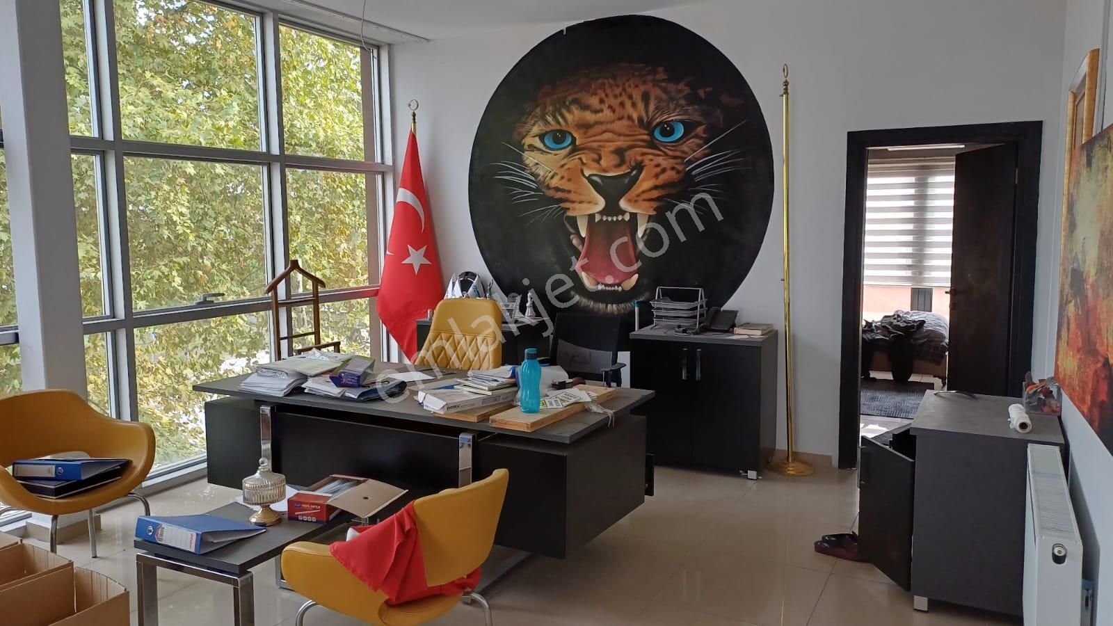 Başiskele,yeniköy,de Sıfır 850 M. Kare İş Merkezi. Müstakil Lüks, Her İşe Uygun - Görsel 18