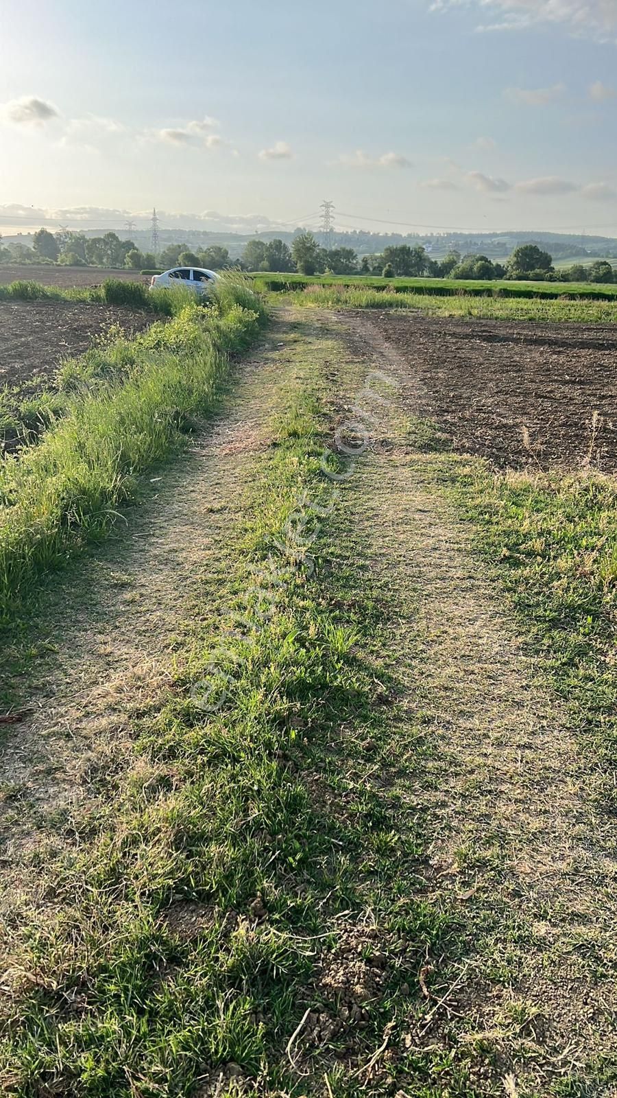 Resmi Yollu Uygun Tarla Acil - Görsel 2