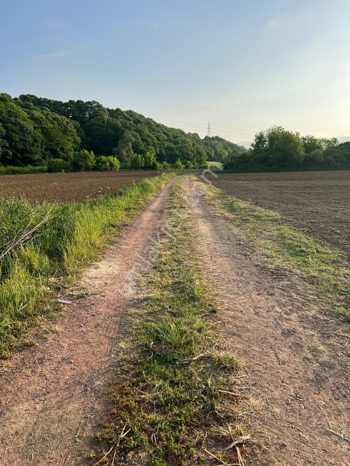 Resmi Yollu Uygun Tarla Acil - Görsel 5