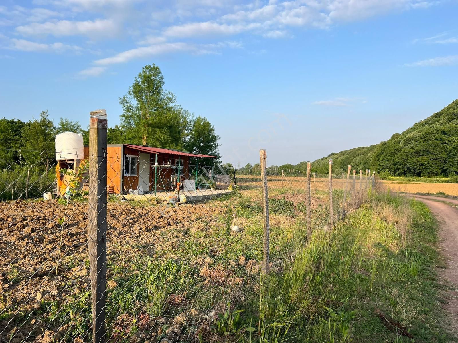 Resmi Yollu Uygun Tarla Acil - Görsel 7