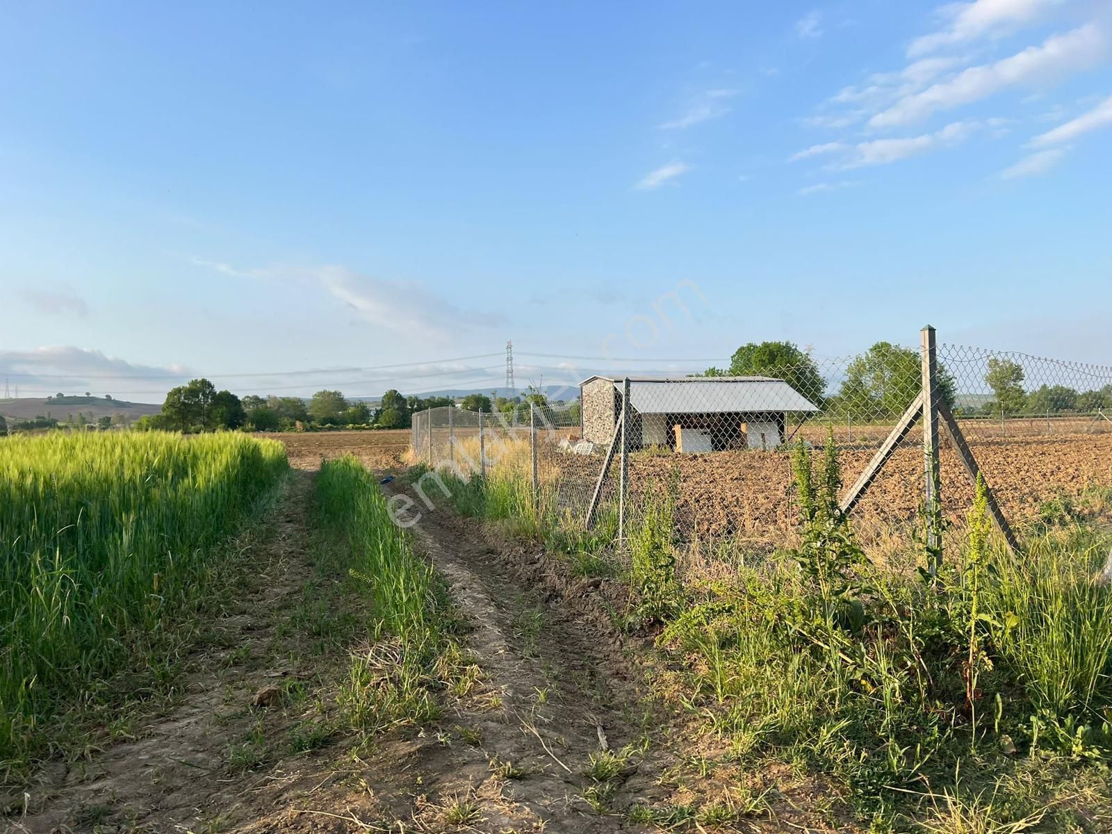 Resmi Yollu Uygun Tarla Acil - Görsel 6