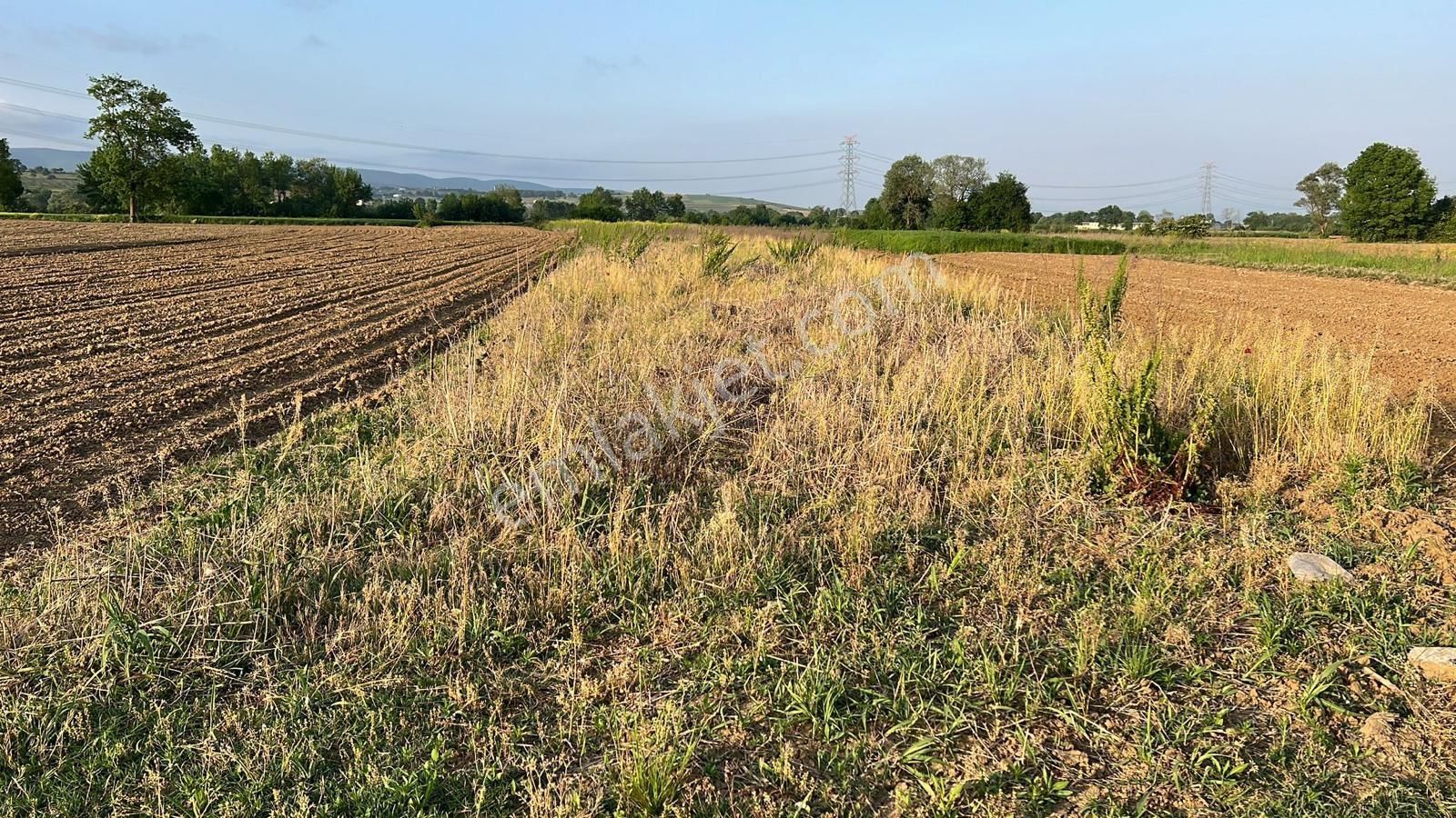 Resmi Yollu Uygun Tarla Acil - Görsel 4