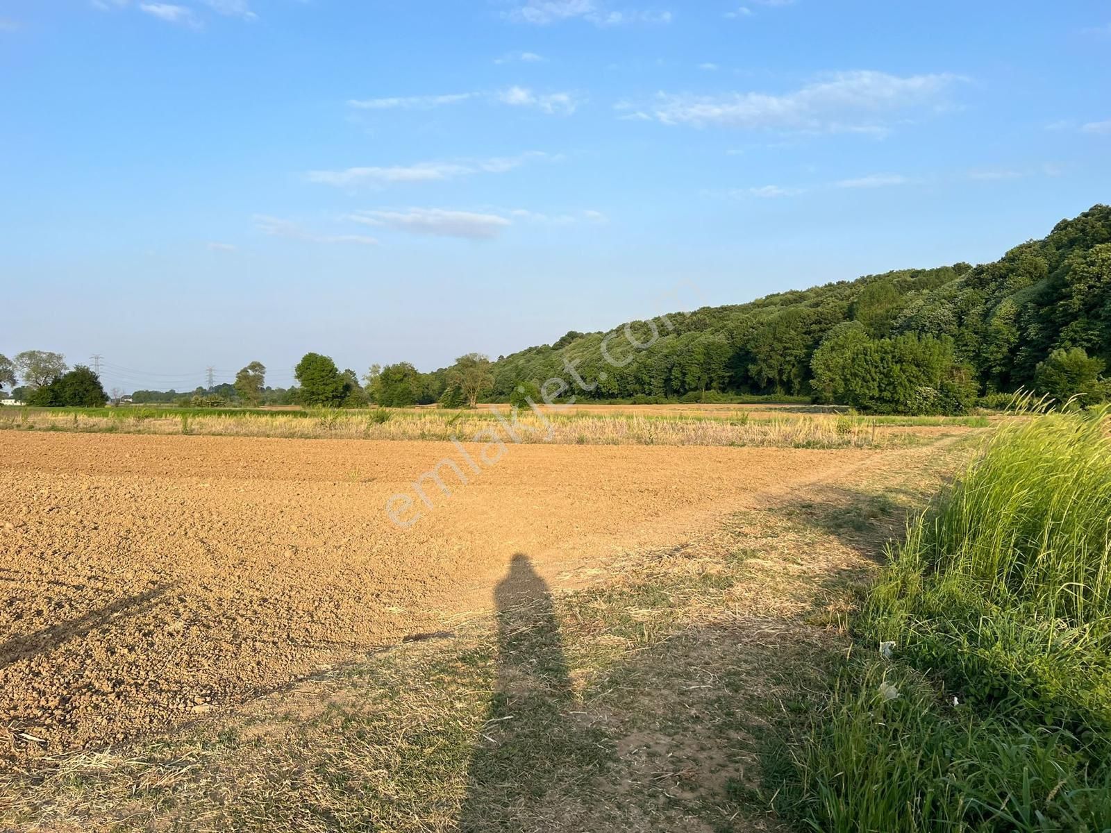 Resmi Yollu Uygun Tarla Acil