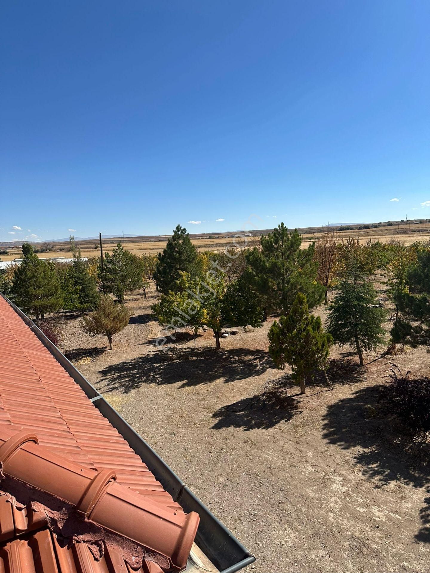 Anadolu Emlaktan Tuzhisarda 17300 Metre Bakımlı Evli Bağ - Görsel 6