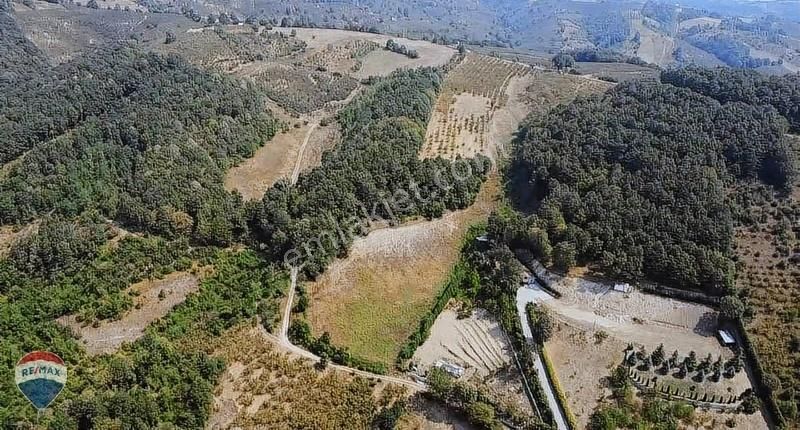 Remax Mavi'den Fındıklık - Görsel 2