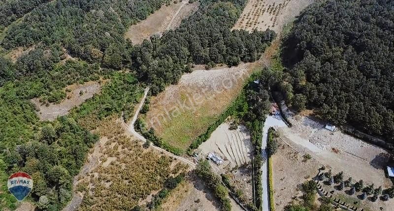 Remax Mavi'den Fındıklık - Görsel 5