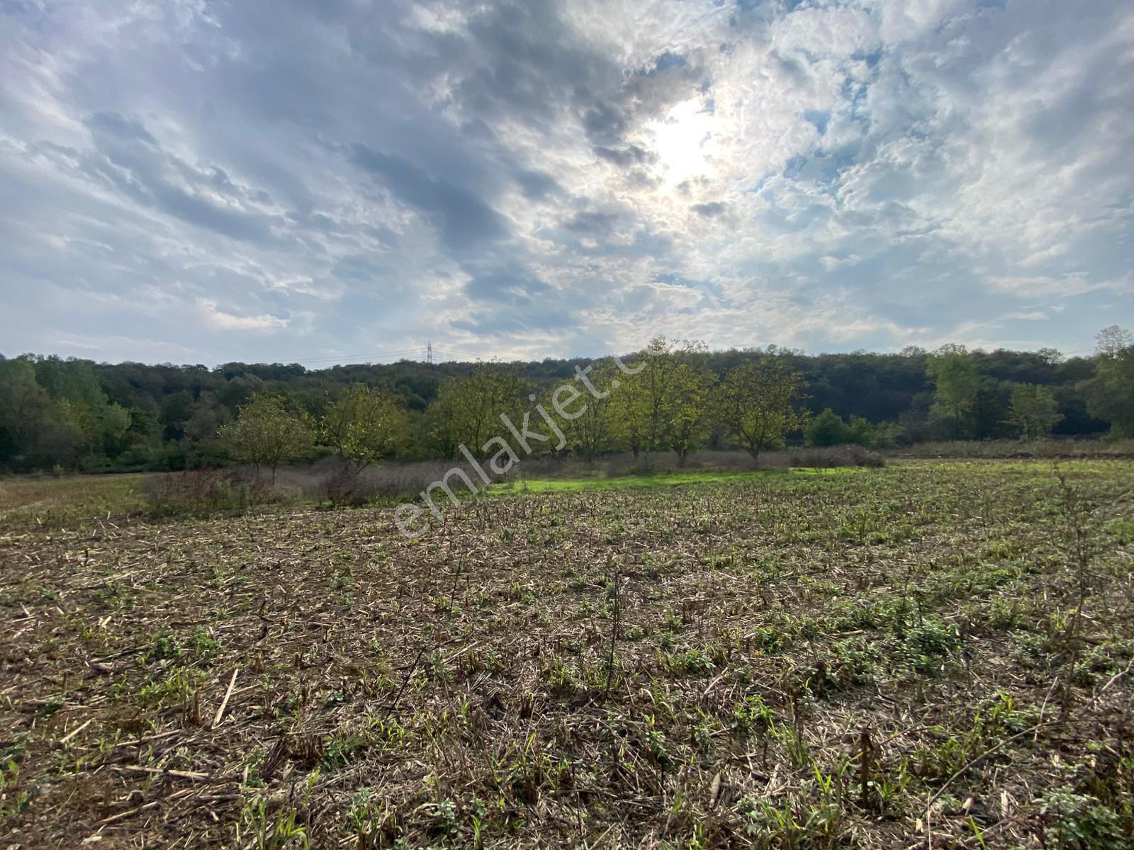 Remax Maviden Salmanlı Da Yatırımlık Fırsat Ceviz Bahçesi - Görsel 27