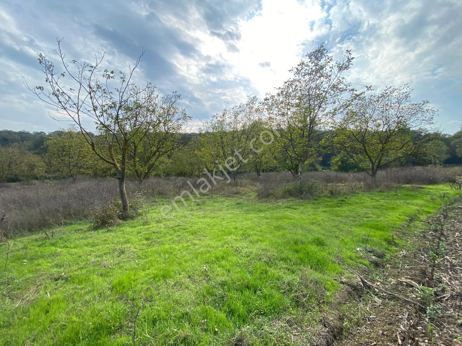 Remax Maviden Salmanlı Da Yatırımlık Fırsat Ceviz Bahçesi - Görsel 31