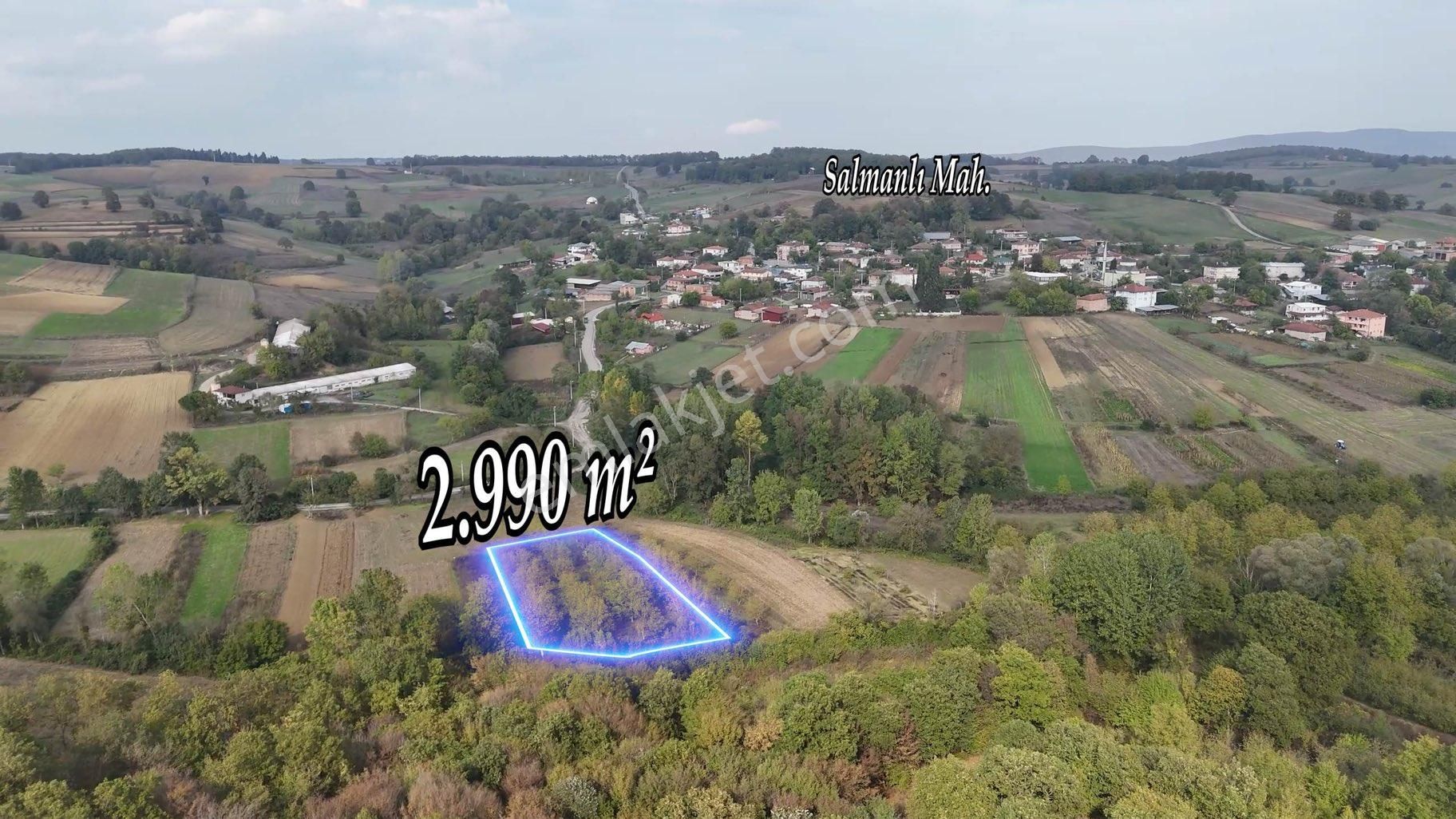 Remax Maviden Salmanlı Da Yatırımlık Fırsat Ceviz Bahçesi - Görsel 2