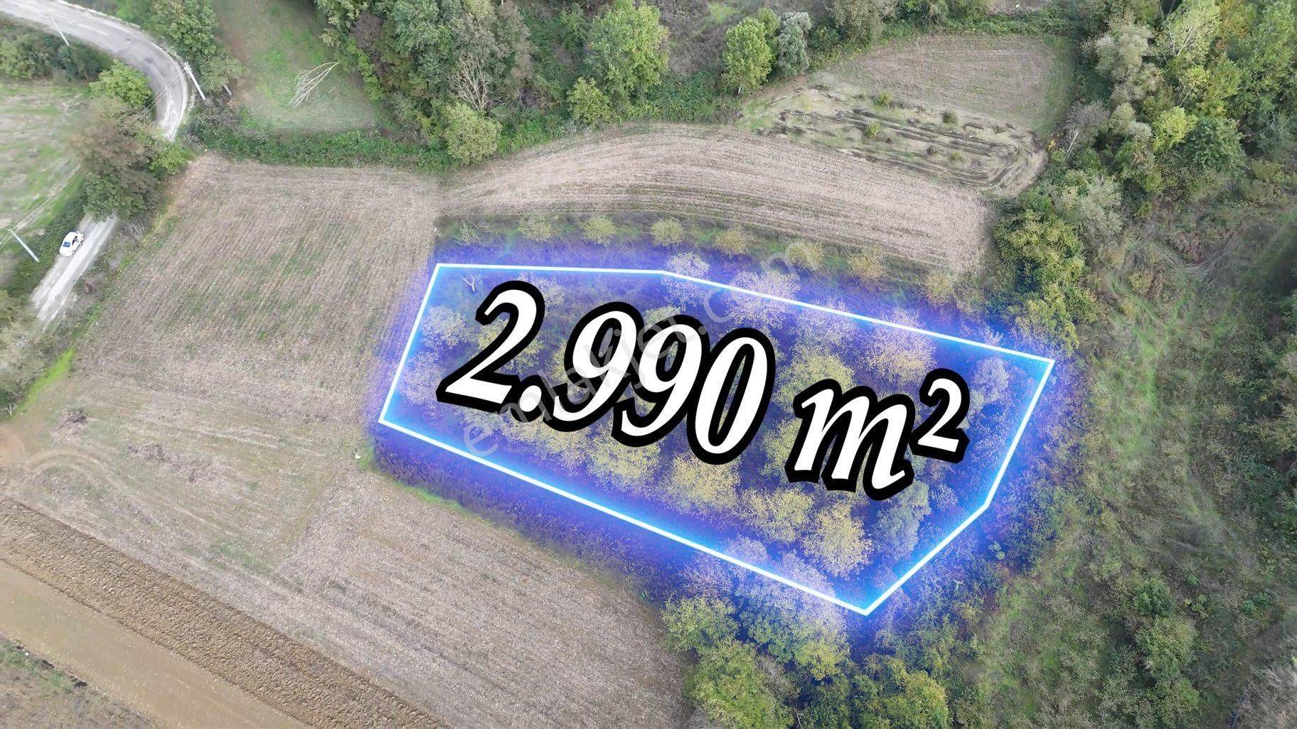 Remax Maviden Salmanlı Da Yatırımlık Fırsat Ceviz Bahçesi - Görsel 10