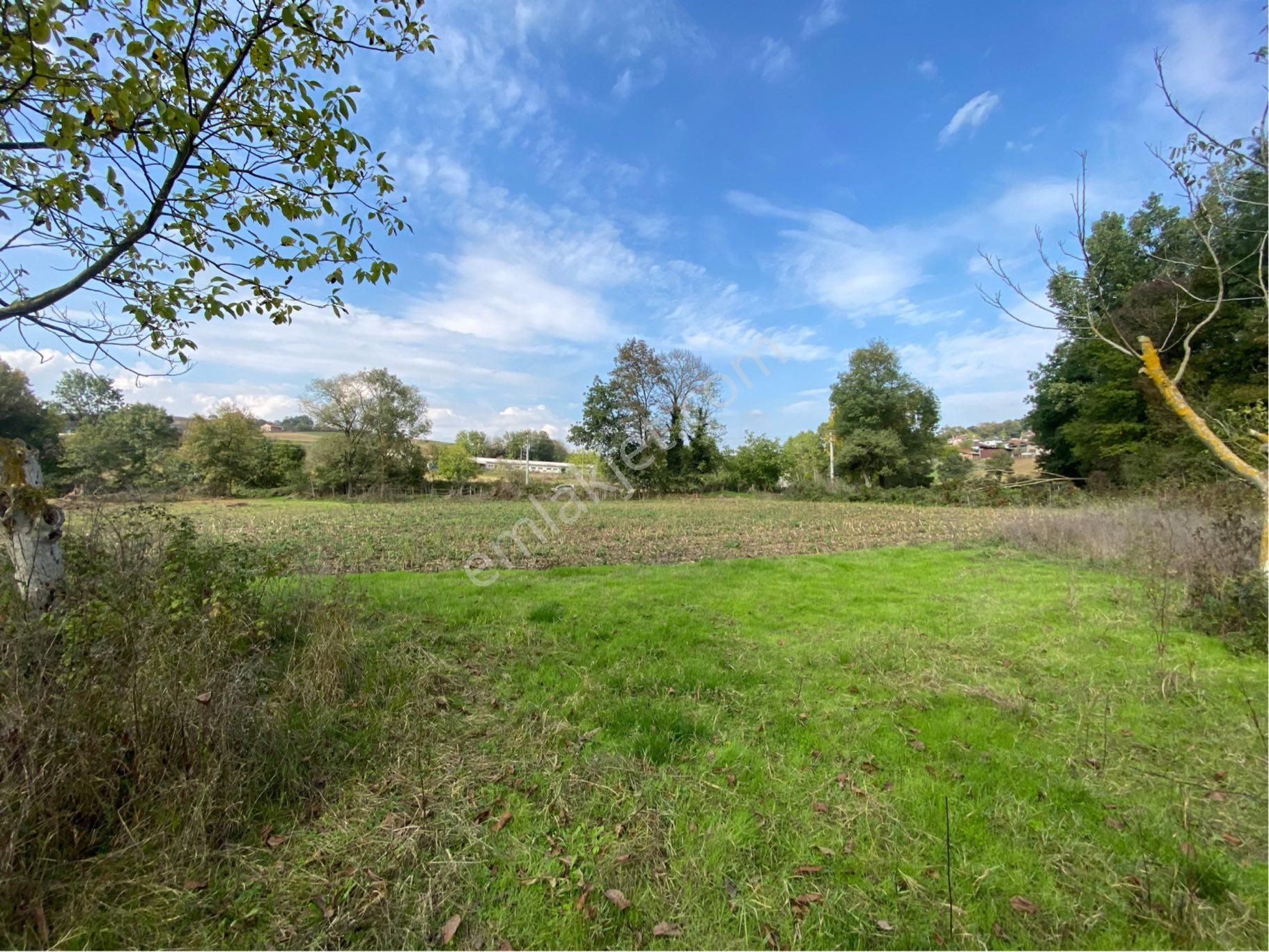 Remax Maviden Salmanlı Da Yatırımlık Fırsat Ceviz Bahçesi - Görsel 24