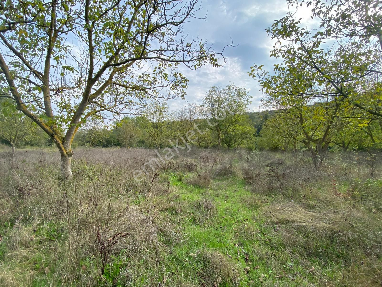 Remax Maviden Salmanlı Da Yatırımlık Fırsat Ceviz Bahçesi - Görsel 35