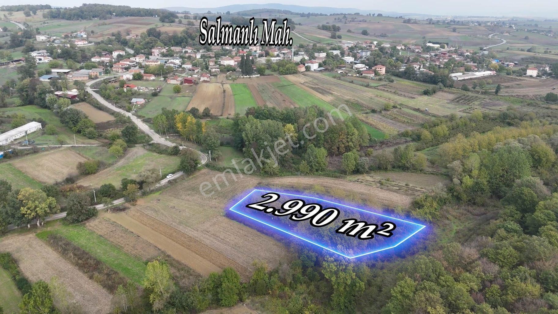 Remax Maviden Salmanlı Da Yatırımlık Fırsat Ceviz Bahçesi - Görsel 13