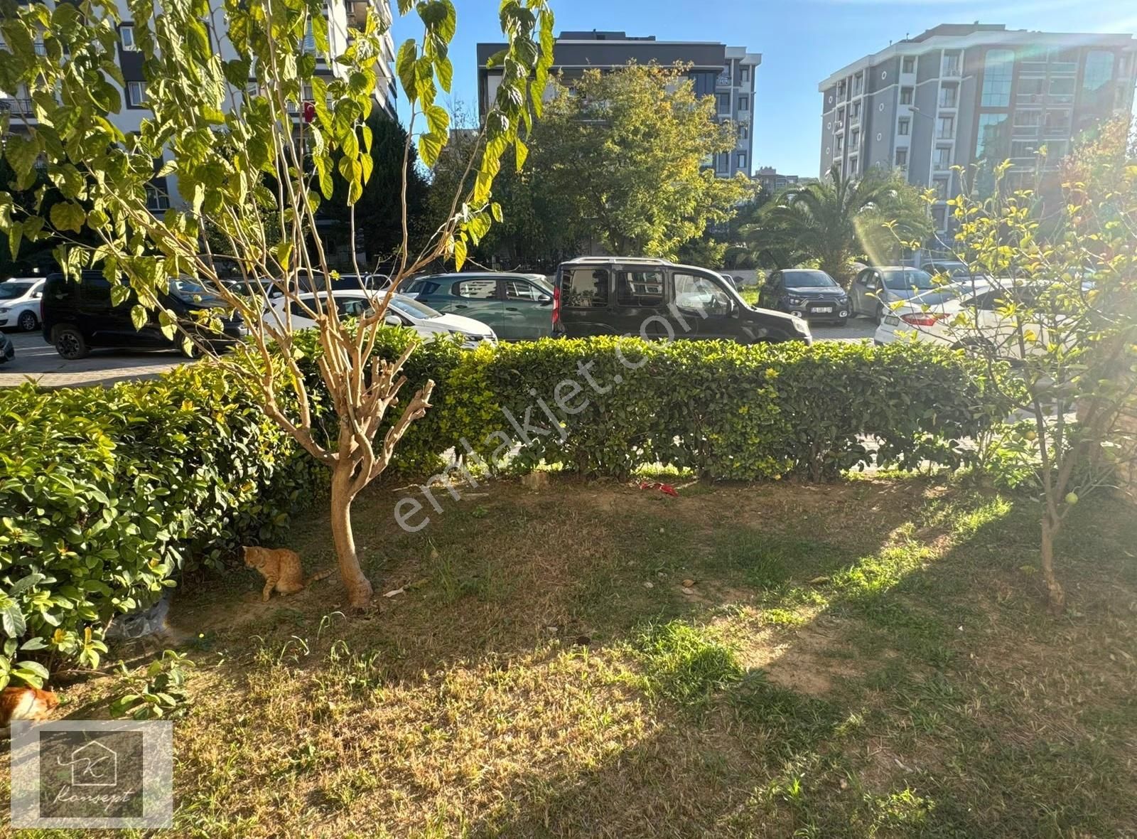 Konsept'den Cadde Yakını Sınırsız Kredili Satılık Dükkan - Görsel 2