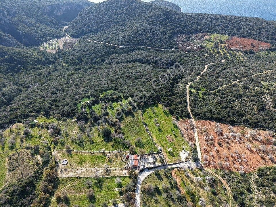 Datça Cumalı Bükceğiz Koyu'nda Yatırımlık 687 M2 Tarla - Görsel 7