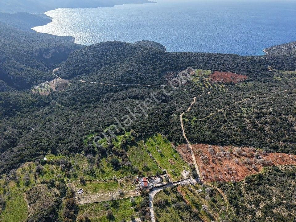 Datça Cumalı Bükceğiz Koyu'nda Yatırımlık 687 M2 Tarla - Görsel 9