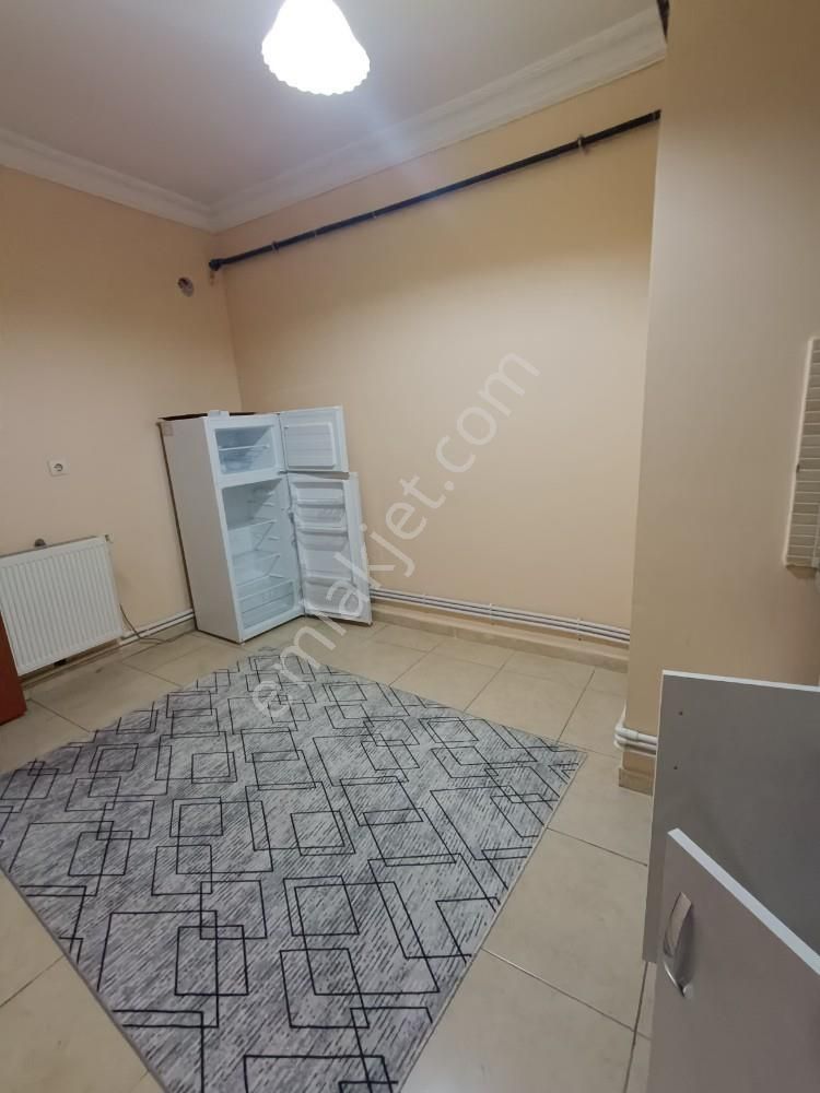Çarşı Merkezde 1+0 Ayrı Mutfaklı Eşyalı Kiralık Daire - Görsel 8
