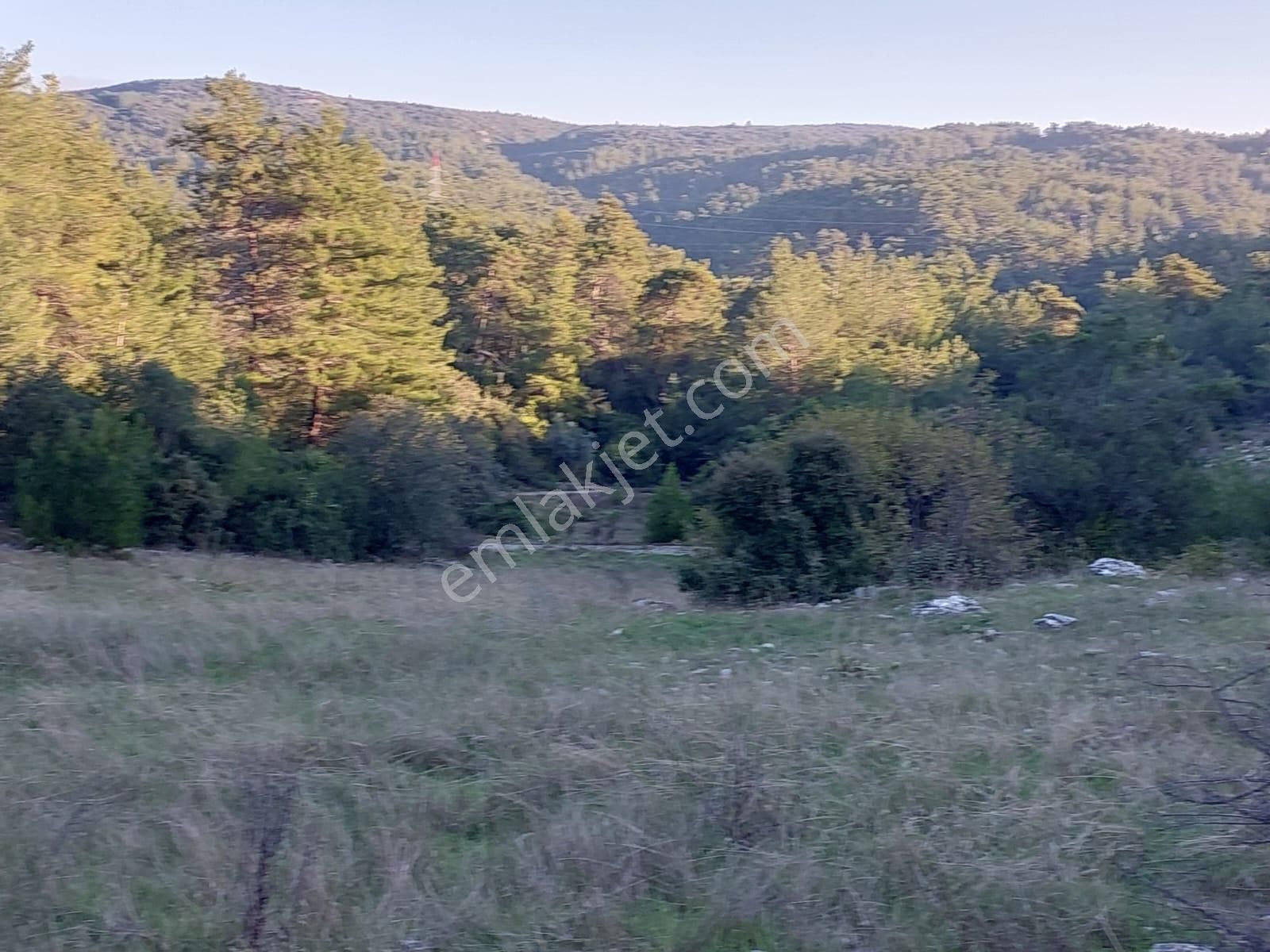 Muğla Ula Kızılyaka 790m2 Hazine Arazisi Zilliyet Hakkı Devir Edilecek Veya Araç Takas Olur - Görsel 5
